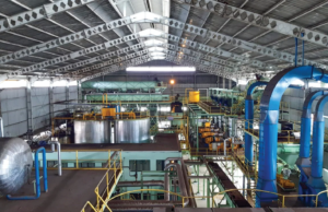 KAWAL MASA DEPAN EKONOMI HIJAU INDONESIA, GAPKI JAWAB TANTANGAN