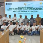 Wujudkan Swasembada Energi, BAKN Telaah Tata Kelola Pelistrikan Nasional