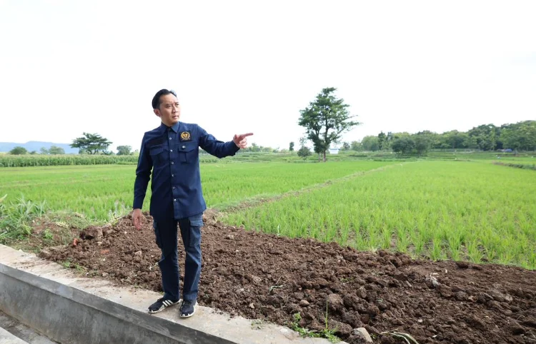 Ibas Pastikan P3TGAI Tepat Sasaran, Irigasi Kuat Jadi Kunci Kesejahteraan Petani