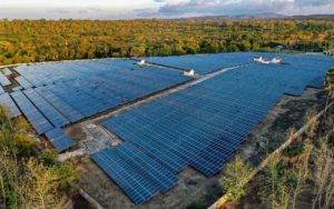 Transformasi Energi Dimulai, PLN Enjiniring Siapkan Perencanaan Proyek PLTS Mentari Nusantara I 1,225 GW