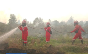 Hostpot di Beberapa Provinsi Menurun, Kemenhut Tetap Siaga Penuh