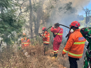 Penanganan Karhutla Berlanjut di Sejumlah Gunung Jawa Timur
