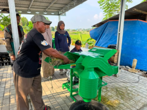 Electrifying Agriculture PLN Bantu Jaga Produktivitas Petani di Musim Kemarau